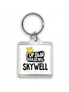 Гордый владелец Skywell