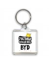 Счастливый владелец BYD