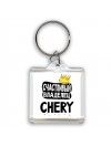 Счастливый владелец Chery
