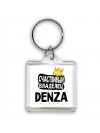 Счастливый владелец Denza
