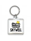 Счастливый владелец Skywell