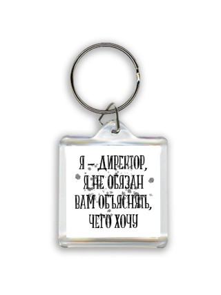 я директор я не обязан вам ничего объяснять