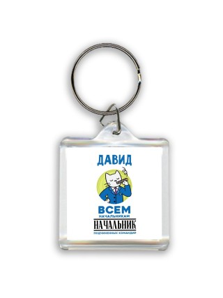 Давид всем начальникам начальник подчиненных командир