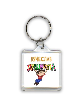 Вячеслав душнила