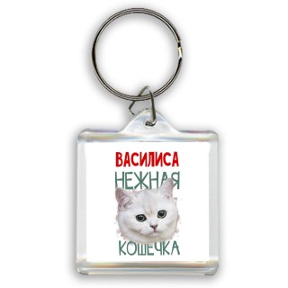 Василиса нежная кошечка