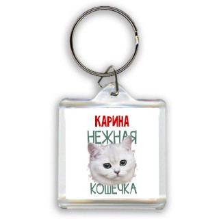 Карина нежная кошечка