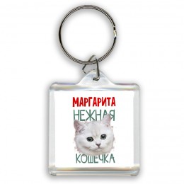 Маргарита нежная кошечка