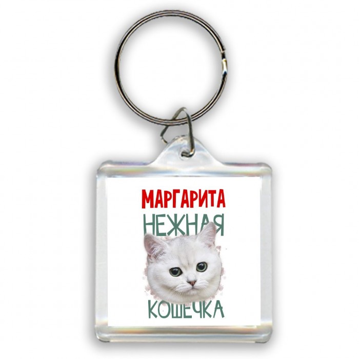 Маргарита нежная кошечка