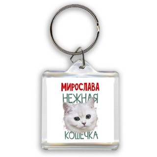 Мирослава нежная кошечка