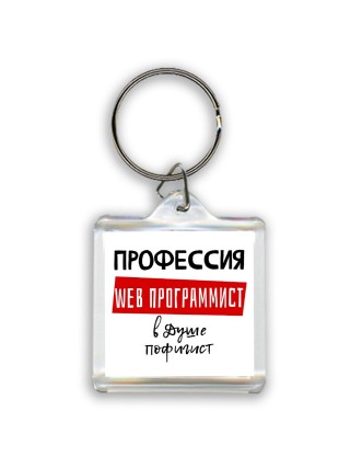 Мужские_Профессия WEB ПРОГРАММИСТ в душе пофигист