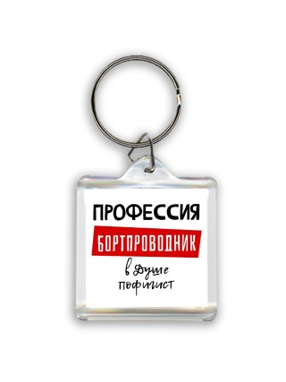 Мужские_Профессия БОРТПРОВОДНИК в душе пофигист