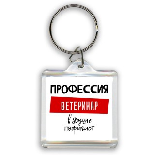 Мужские_Профессия ВЕТЕРИНАР в душе пофигист