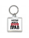 Налоговый Инспектор всегда прав