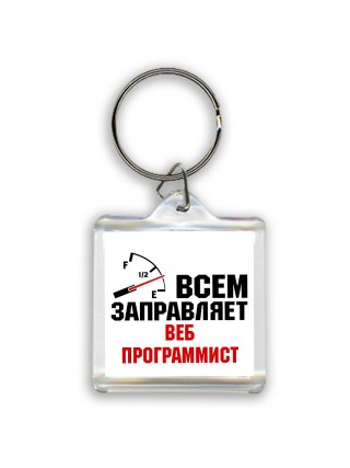 Всем заправляет веб программист