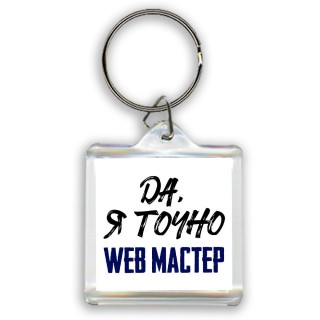 Да, я точно web мастер