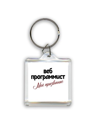 веб программист моё призвание