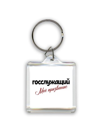 госслужащий моё призвание