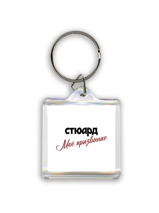 стюард моё призвание