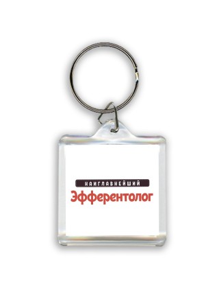 Наиглавнейший Эфферентолог