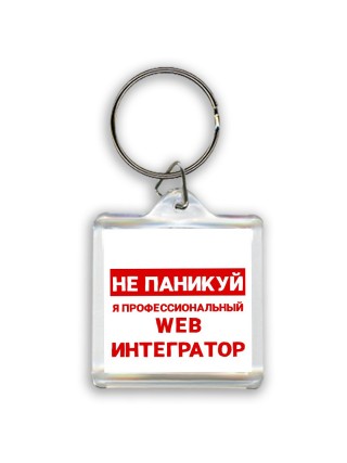 Не паникуй я профессиональный web интегратор