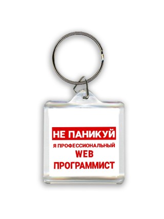 Не паникуй я профессиональный web программист