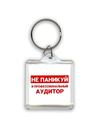 Не паникуй я профессиональный аудитор