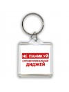 Не паникуй я профессиональный диджей