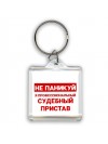 Не паникуй я профессиональный судебный пристав