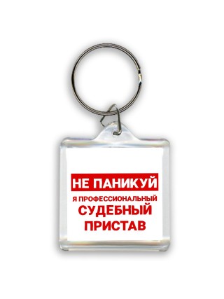 Не паникуй я профессиональный судебный пристав