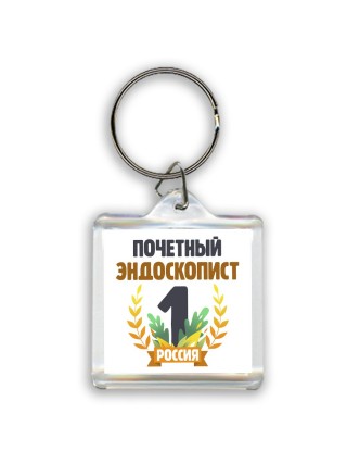 Почетный эндоскопист