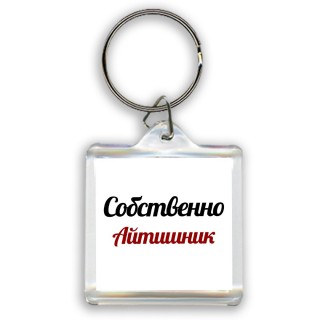 Собственно, Айтишник