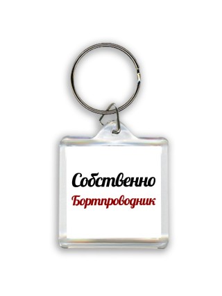 Собственно, Бортпроводник