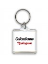 Собственно, Проводник