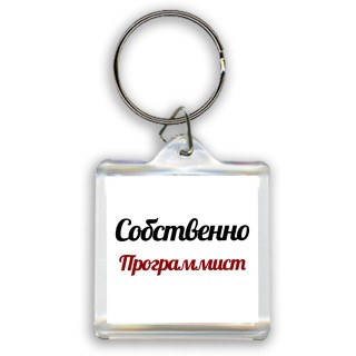 Собственно, Программист