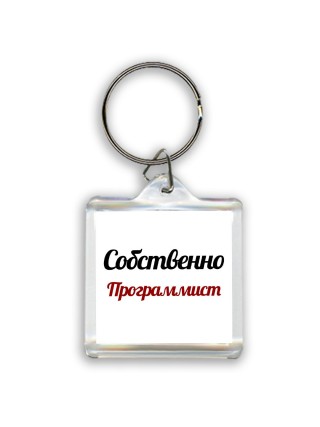 Собственно, Программист