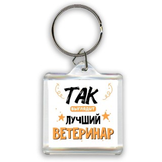 Так выглядит лучший Ветеринар