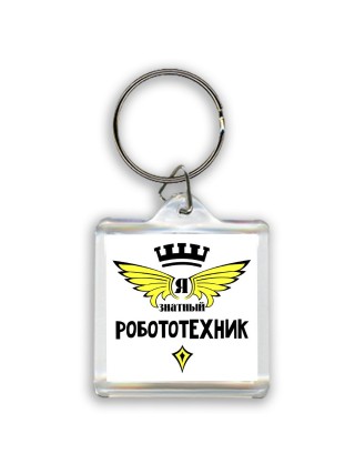 Я знатный робототехник