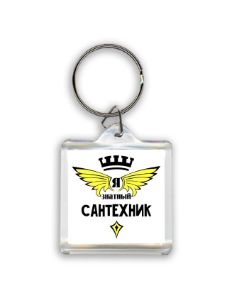 Я знатный сантехник