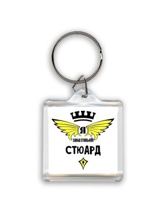 Я знатный стюард