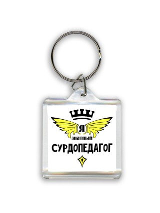 Я знатный сурдопедагог