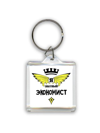 Я знатный экономист