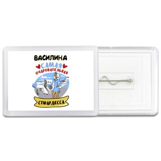 Василина самая очаровательная стюардесса