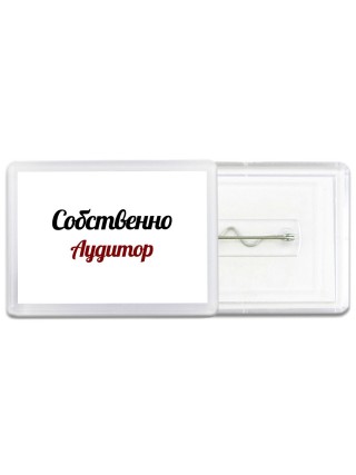 Собственно, Аудитор