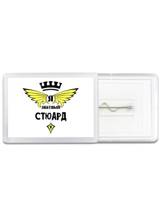 Я знатный стюард