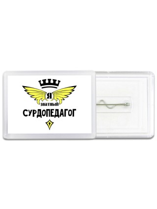 Я знатный сурдопедагог