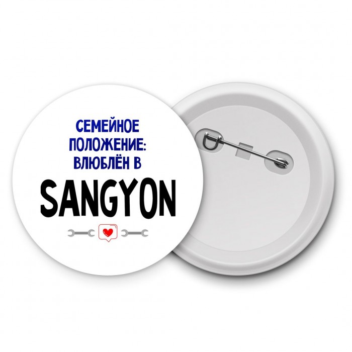 семейной пололжение - влюблен в Ssangyong