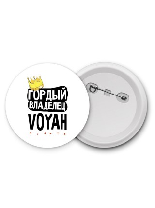 Гордый владелец Voyah