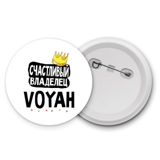 Счастливый владелец Voyah