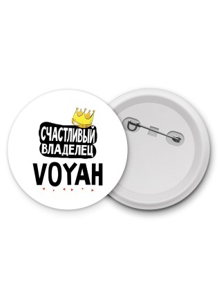 Счастливый владелец Voyah