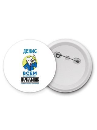 Денис всем начальникам начальник подчиненных командир